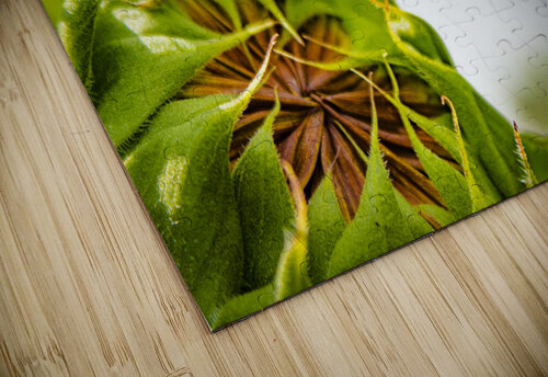 New Beginnings Susan Diann Photography puzzle