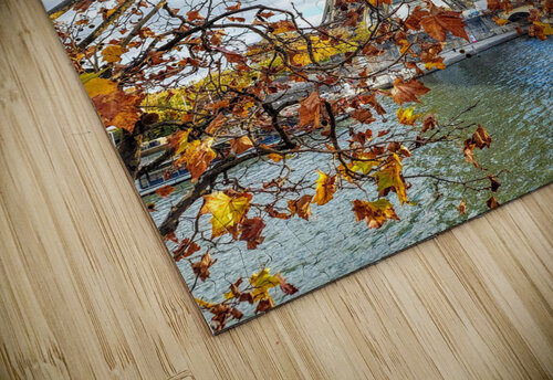 Paris in Autumn Alberto Varela puzzle