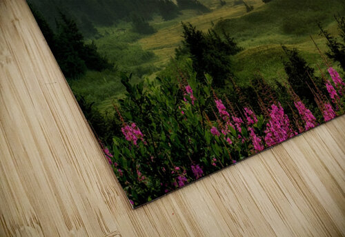 Turnagain Pass Summer Dave Veith puzzle