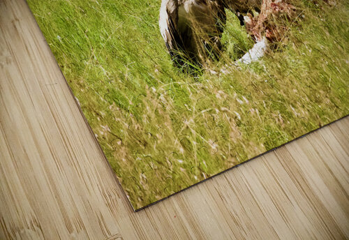 Leftovers Alice Veronique puzzle