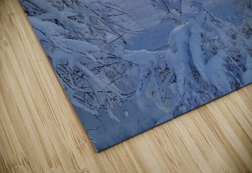 Winter Wonderland Alberto Varela puzzle