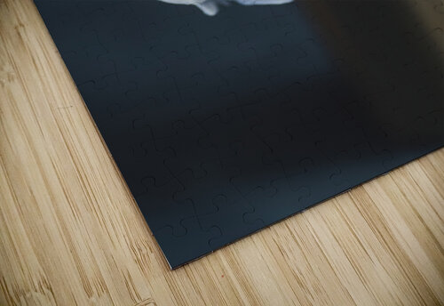 9840 Hydrangea Blue Gowri Subramanya puzzle