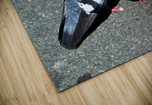 1603 mohamed elabari puzzle