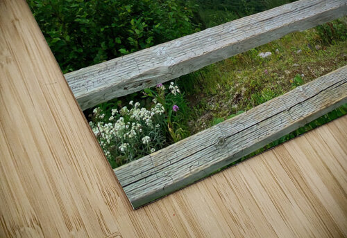 Collection Cote-Nord Martin Morissette puzzle