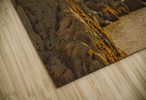 Turnagin Arm Bruce Brown puzzle