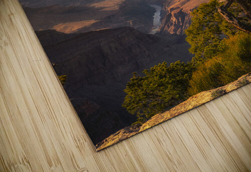 At the Rim Imma Barrera puzzle