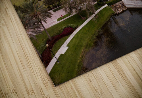 Tradition Dr one puzzle