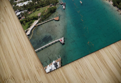 Jupiter Inlet FL Dr one puzzle