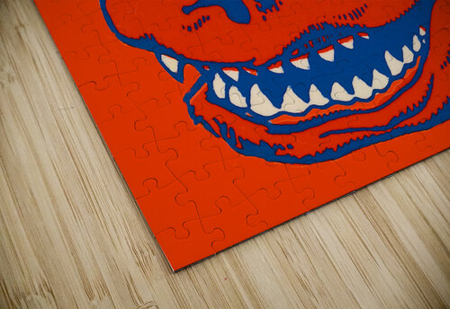 Vintage Florida Gator U of F Hat Print Row One Brand puzzle