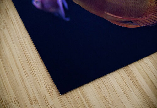 2181 mohamed elabari puzzle