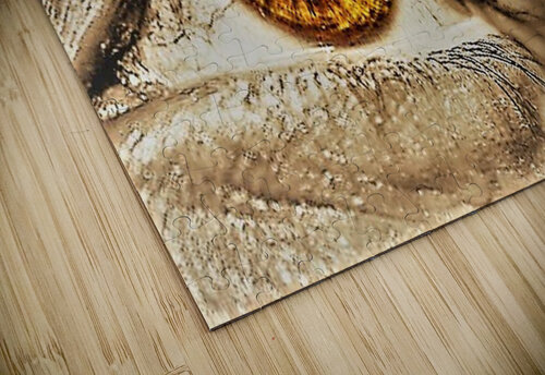 2205 mohamed elabari puzzle