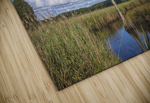 2022 July 03 Wetland01 Robert Decker puzzle