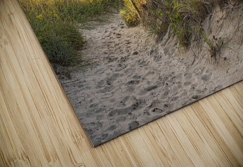 2020 July 18 BeachPath01 Robert Decker puzzle