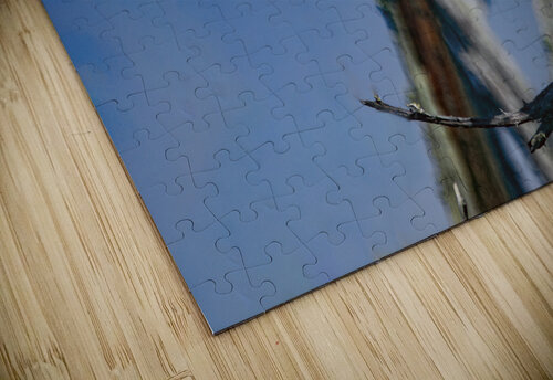 2022 Aug 03 MightHeron01 Robert Decker puzzle