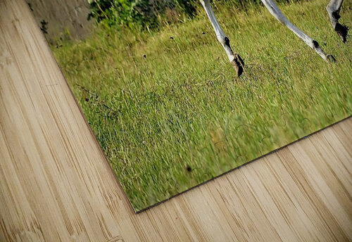 2420 mohamed elabari puzzle