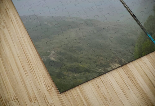 Omen  Alice Veronique puzzle