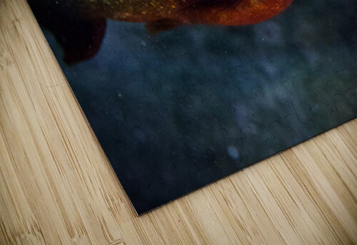 Hangry Alice Veronique puzzle