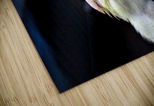 2591 mohamed elabari puzzle