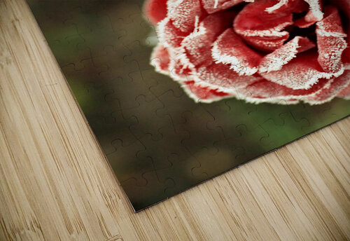 2601 mohamed elabari puzzle