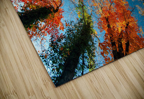 2678 mohamed elabari puzzle