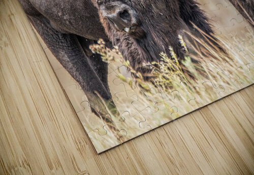 Love Is In The Air Susan Diann Photography puzzle