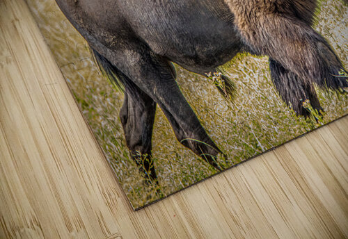 Moving On Susan Diann Photography puzzle