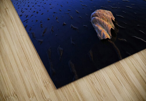 2793 mohamed elabari puzzle