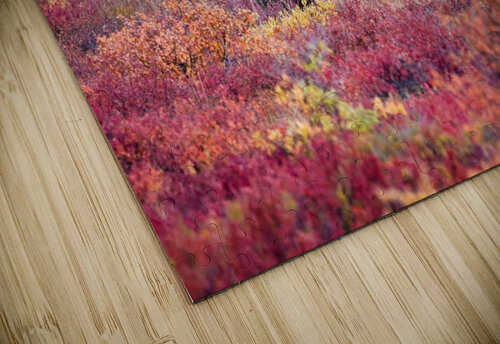 Standing Bear Dave Veith puzzle