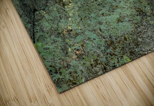 Pathway Series- 1 Charons Garden Susan Diann Photography puzzle