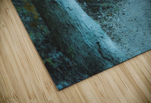 Pathway Series-3 Sulphur Park Susan Diann Photography puzzle