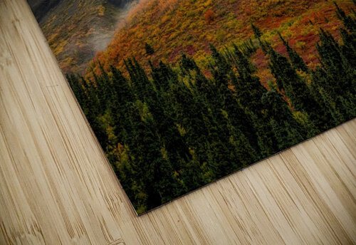 Fall Colors & Mist Dave Veith puzzle