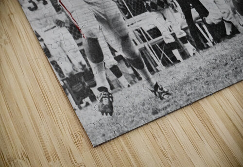 1969 Arkansas Razorbacks Football Art Row One Brand puzzle