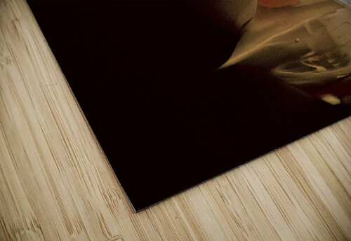 Cracked Egg Barbara Linkevitch puzzle