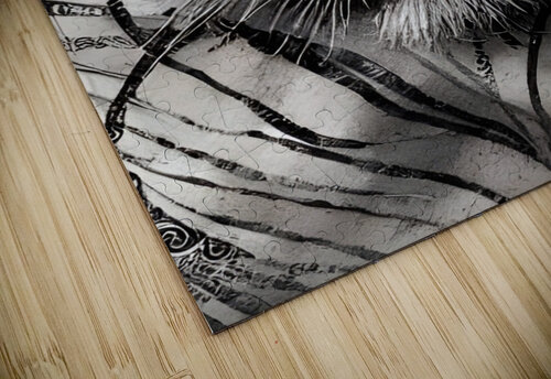 4F9A3122 EF90 4154 9D7C FF3970694692 Magikheart puzzle