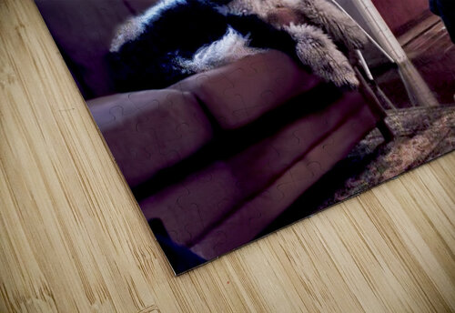 Super Bowl Sunday Barbara Linkevitch puzzle