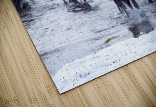 IMG 2895 jshansen puzzle