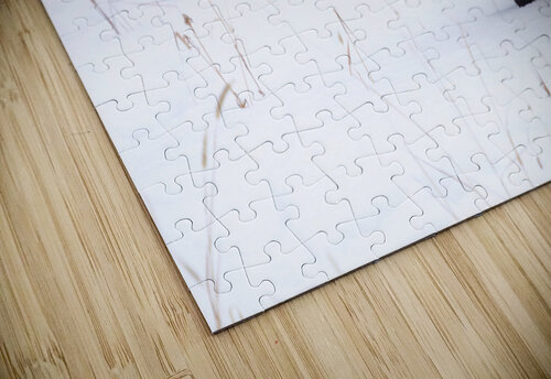 DSC03412 2 jshansen puzzle