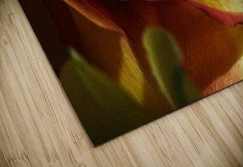 Fiery Rose H20colorartist puzzle