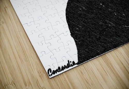 Now What ArtByConcordia puzzle