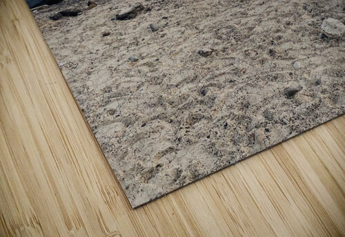 B3D23C1B 7877 42C8 8DC9 EAEDF3C25585 Cole puzzle