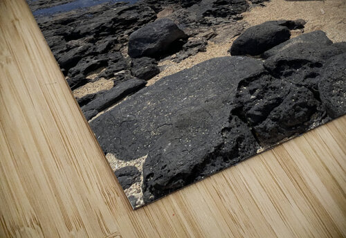 E71F184D 4768 4467 A8C7 90E9757AC878 Cole puzzle