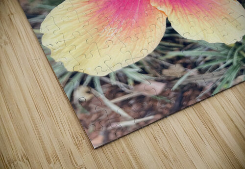 4E876D4E 8694 4A9D 987A ACCFED873125 Cole puzzle