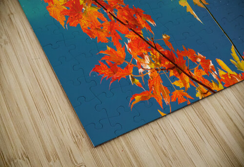 Maple Leaves Richard Gantiva puzzle