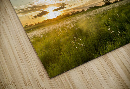 Nature Photography - Sunset Field - Busch Wildlife MO Steve Alejandro puzzle