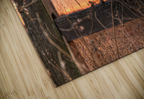 Nature Photography - Sunset at the Park - Quail Ridge Park MO Steve Alejandro puzzle