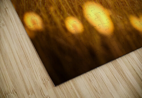 Artwork - Gods Paintbrush - St. Charles County Steve Alejandro puzzle