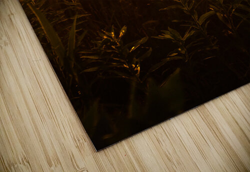 Nature Photography - A Crown - Indian Camp Creek Wentzville Steve Alejandro puzzle