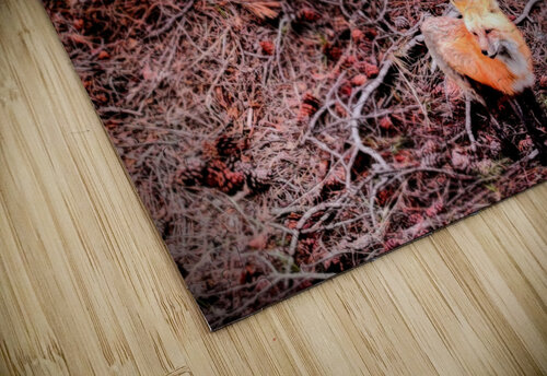 Pink Fox Ell Cee puzzle