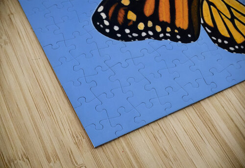 Seed of Life AnnaLysa Artistry puzzle
