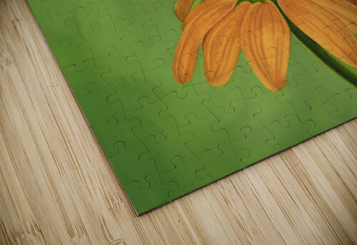 Leap of Faith   AnnaLysa Artistry puzzle